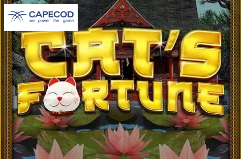 Cats Fortune